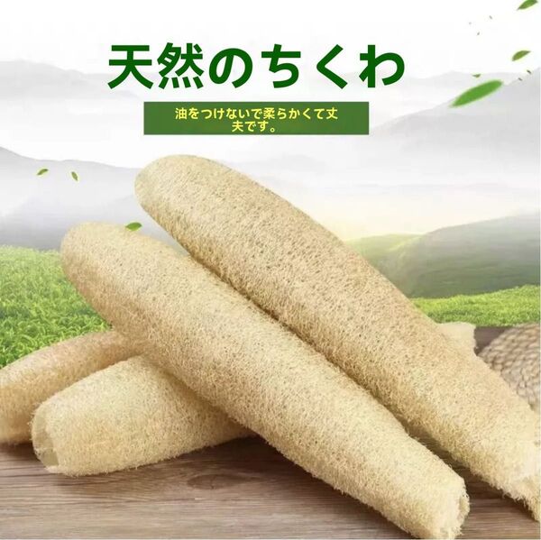 天然ヘチマたわし天然繊維100 へちまスポンジ 無漂白無農薬 エコスポンジ へちまたわし 2個セット