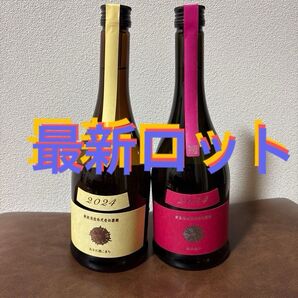 新政 エクリュ コスモス 合計2本セット