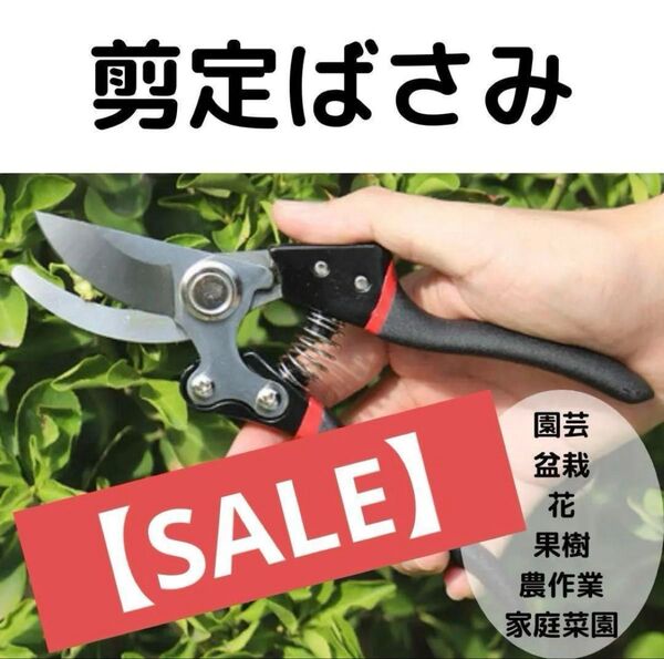 【SALE】剪定 ばさみ ハサミ 枝切り 園芸 剪定 バサミ 庭木 ガーデニング