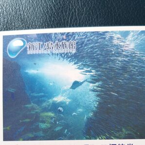 新江ノ島水族館 招待券4枚 入場券
