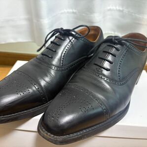 SCOTCH GRAIN スコッチグレイン SHINE OR RAIN IV ビジネスシューズ 革靴