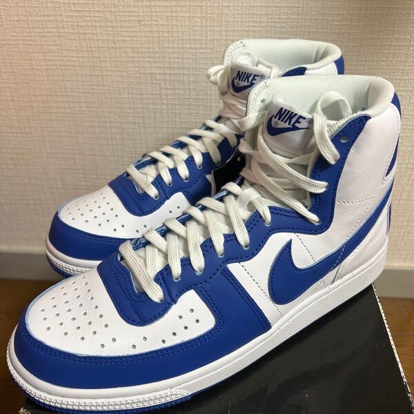 NIKE Terminator High 白×青 ターミネーター