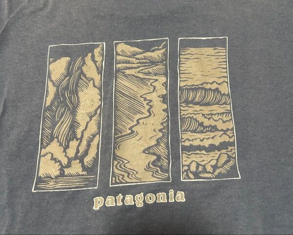 patagonia オーガニックコットン Tシャツ S USA 黒タグ 90s 00s ビンテージ