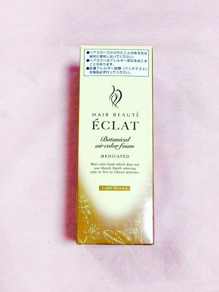 ヘアボーテ エクラ ボタニカル エアカラーフォーム EX 80g ライトブラウン