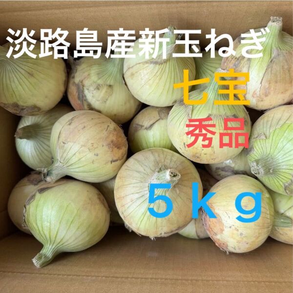 淡路島産新玉ねぎ七宝秀品5kg☆