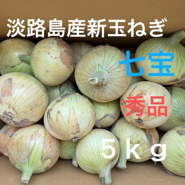 淡路島産新玉ねぎ七宝秀品5Kg☆