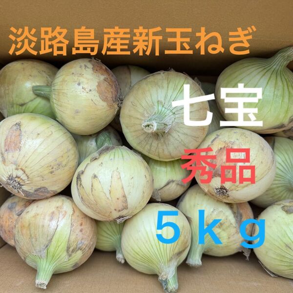 淡路島産新玉ねぎ七宝秀品5Kg☆