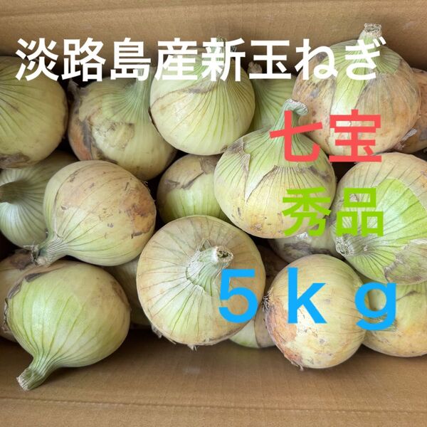淡路島産新玉ねぎ七宝秀品5kg☆