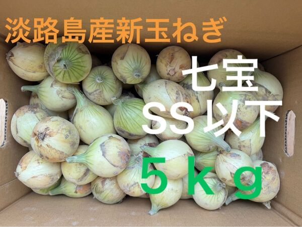 淡路島産新玉ねぎ七宝SS以下5kg
