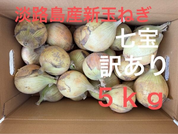 淡路島産新玉ねぎ七宝訳あり5kg☆