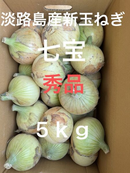 淡路島産新玉ねぎ七宝秀品5Kg☆