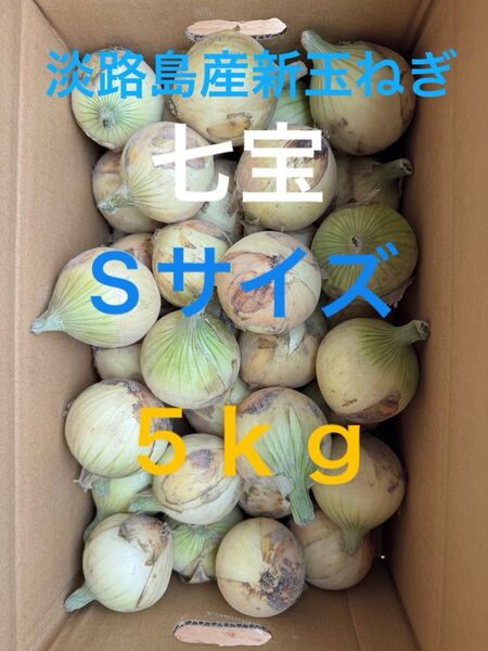 淡路島産新玉ねぎ七宝Sサイズ5kg☆