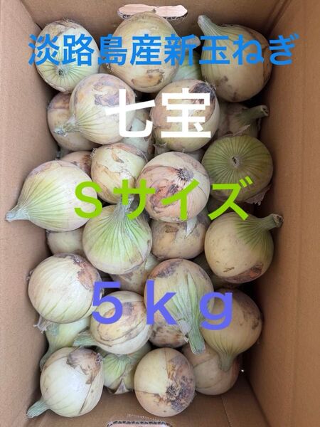 淡路島産新玉ねぎ七宝Sサイズ5kg☆