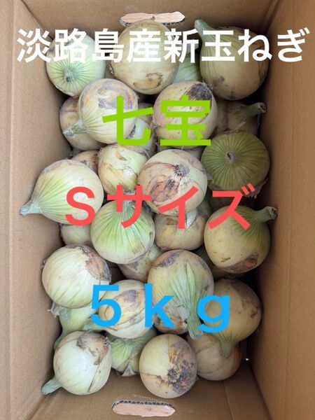 淡路島産新玉ねぎ七宝Sサイズ5kg☆