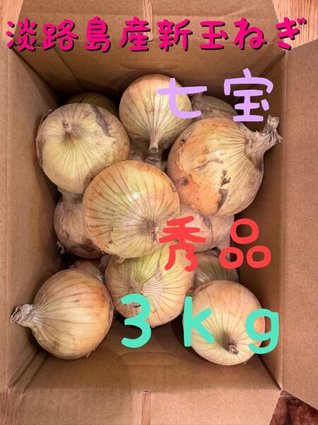 淡路島産新玉ねぎ3kg☆