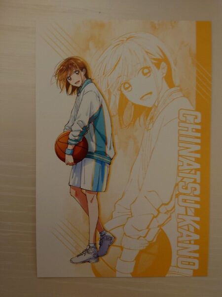 アオのハコ POP UP SHOP 紀伊國屋 購入特典 ポストカード 鹿野千夏