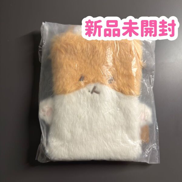 exo BAEKHYUN トレギ ミニショルダーポーチ