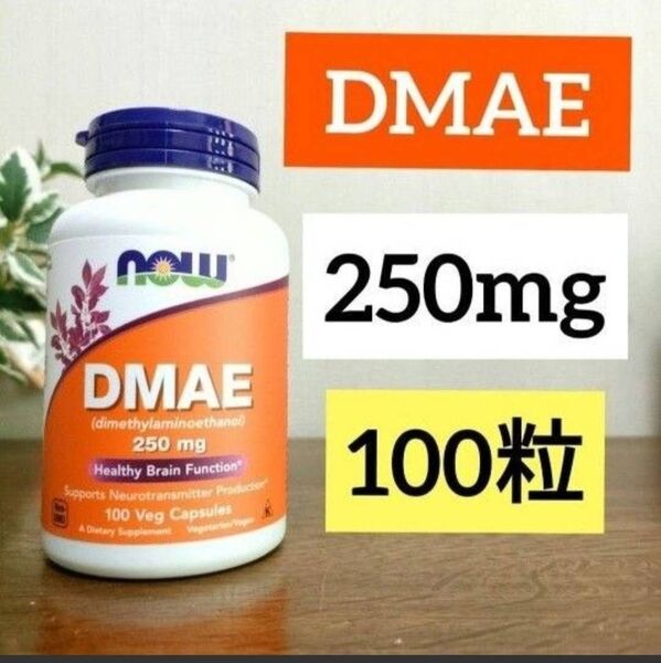 ナウフーズ DMAE ジメチルアミノエタノール 250mg 100ベジカプセル 1個 NOW FOODS