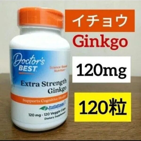 ドクターズベスト Extra Strength Ginkgo 120mg 120粒 賞味期限2027.08 イチョウ葉
