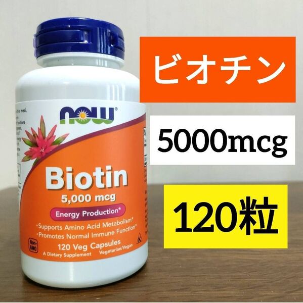 ナウフーズ ビオチン 5000mcg 120粒 NOW FOODS 1個
