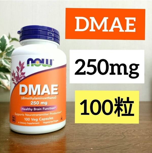 ナウフーズ DMAE ジメチルアミノエタノール 250mg 100ベジカプセル 1個 NOW FOODS