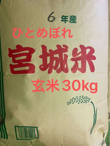 宮城県産 ひとめぼれ 未検査米 玄米30kg