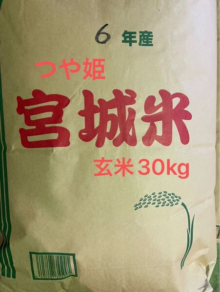 宮城県産 つや姫 玄米30kg 未検査米