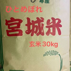 宮城県産 ひとめぼれ 玄米30kg 未検査米