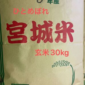 宮城県産 ひとめぼれ 玄米30kg 未検査米