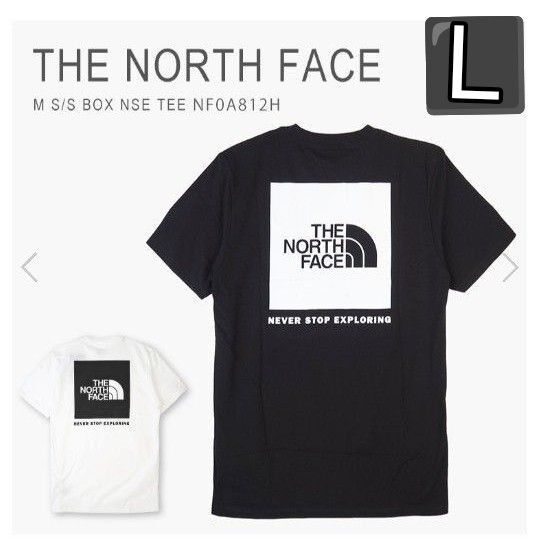 THE NORTH FACE M S/S BOX NSE TEE NFOA812H 黒 L