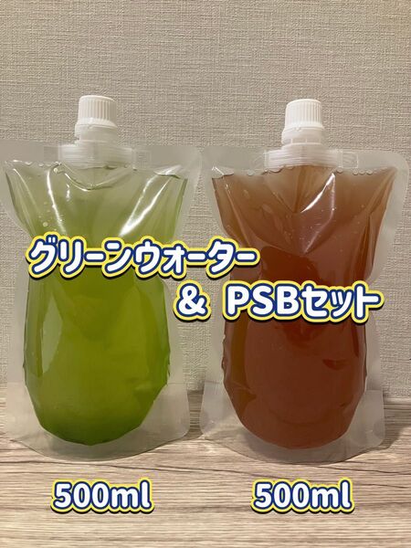 グリーンウォーター & PSBセット #メダカ#金魚#針子#稚魚#水質浄化#植物プランクトン