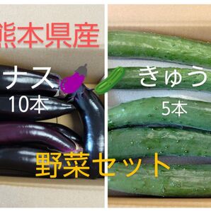 農家直送!なすときゅうりの新鮮野菜セット