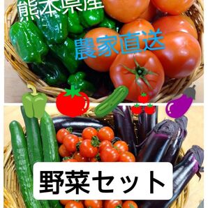 農家直送!おまかせ野菜セット