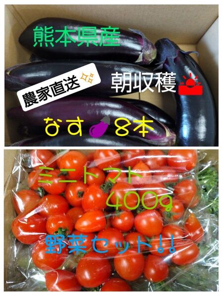 農家直送!なす・ミニトマトの新鮮野菜セット