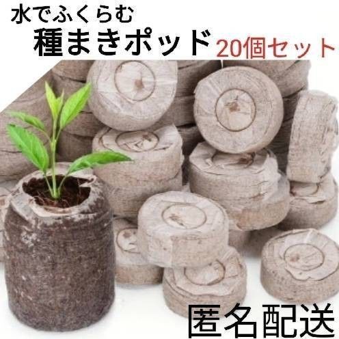水でふくらむ種まきポット 育苗 発芽 園芸雑貨/ガーデニング用品 培養土 家庭菜園 鉢プランターにそのまま植えられる土壌 液体肥料