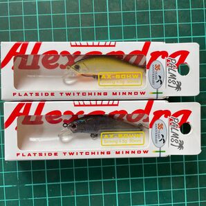 35TH記念カラー パームス アレキサンドラAX-50HW 2個セット