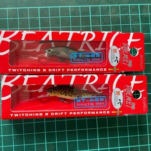 35TH記念カラー パームス ベアトリスBT−43S 2個セット