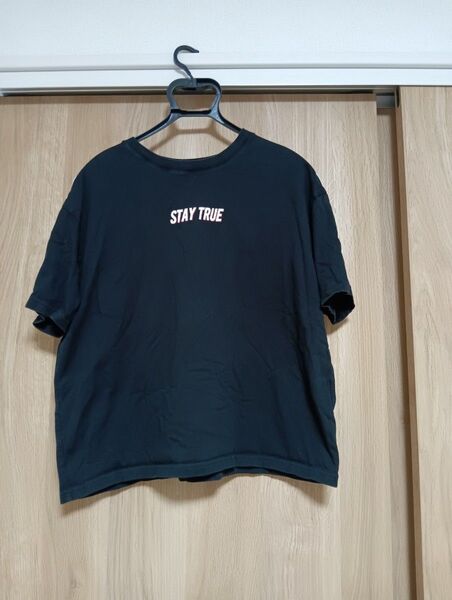 Tシャツ 黒 Lサイズ