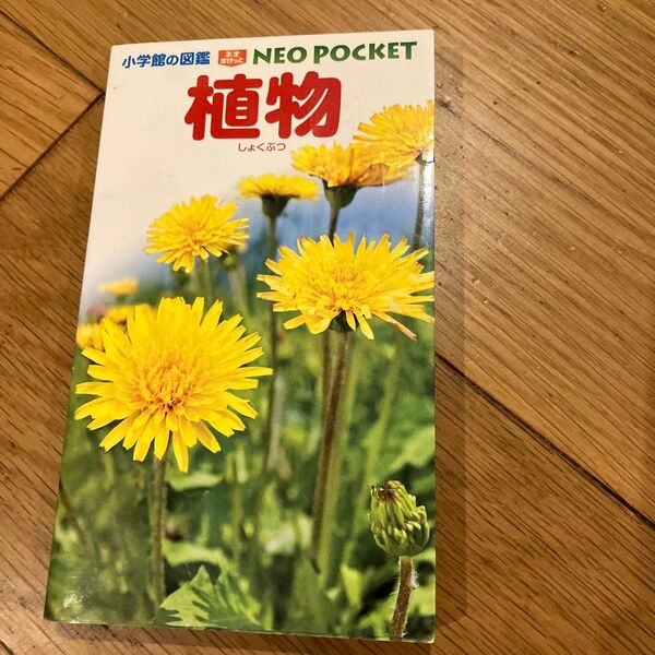 小学館図鑑 NEO POCKET 植物