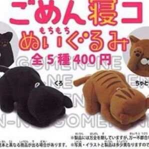 ガチャガチャ ごめん寝コ もちもちぬいぐるみ 白猫