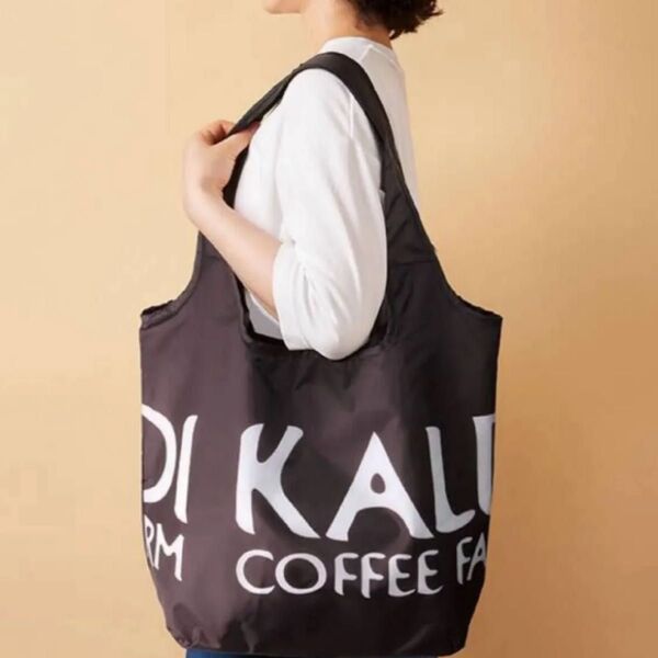 KALDI コンパクト保冷バッグ エコバッグ カルディ クーラーバッグ 保冷バッグ