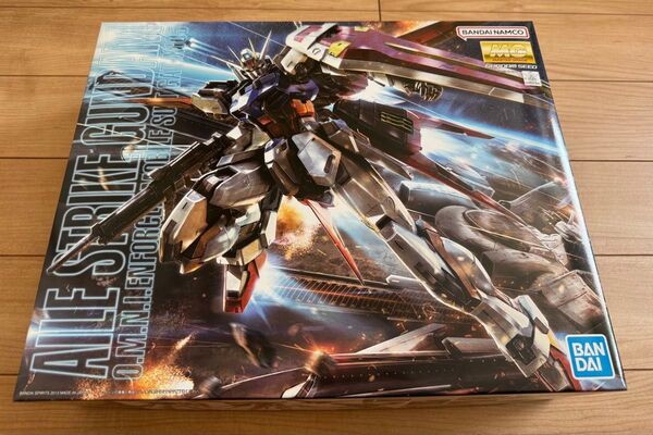 GAT-X105A エールストライクガンダム Ver.RM (1/100スケール MG 機動戦士ガンダムSEED 5061590)
