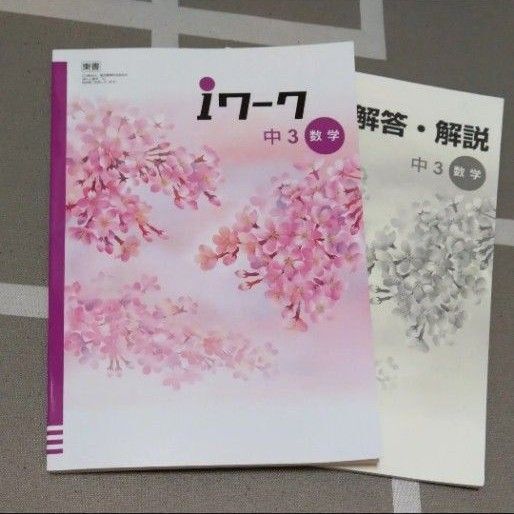 数学 新品 iワーク 解答 解説 アイワーク 中学生 中学校 3年生 3年 受験 試験 テキスト 問題 難問