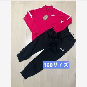 新品 プーマPUMA 160サイズ ジャージ上下セット ピンク 女の子 上下セット セットアップ 上下 トレーニングウェア パンツ