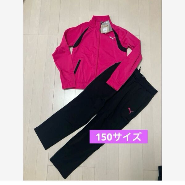 新品 プーマPUMA 150サイズ ジャージ上下セット ピンク 女の子 セットアップ 上下セット 上下 ジャージ パンツ