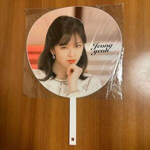 TWICE Jeongyeon うちわ