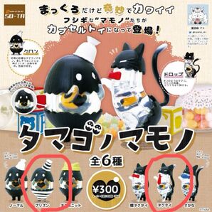 タマゴノマモノ プリズン ネクタイ ビスケット スタジオソータ