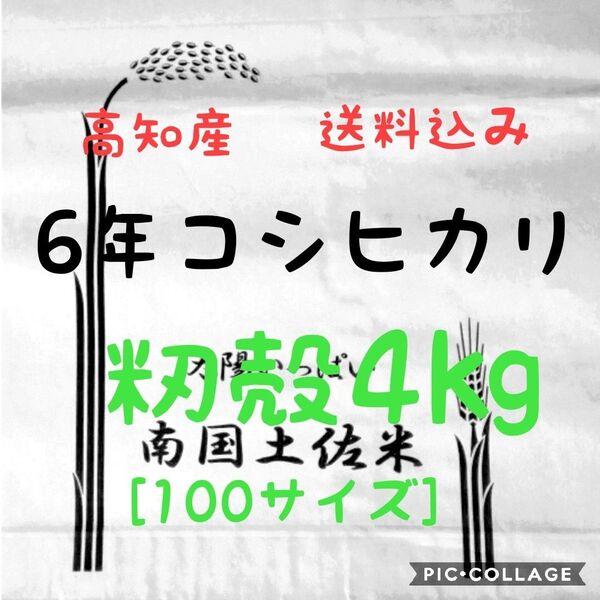 送料込み 令和6年産 高知県産 新米コシヒカリ 籾殻4㎏(袋込み)