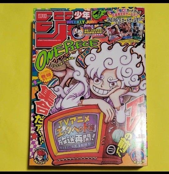 週刊少年ジャンプ 19号 2025年4月21日号 (集英社)応募シート ジャンプチケットなし