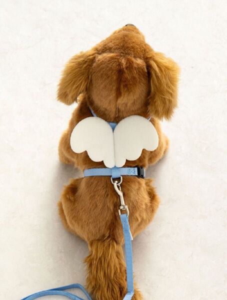 羽ペットロープハーネスセット 犬用 ハーネス 羽 小型犬 ライトブルー